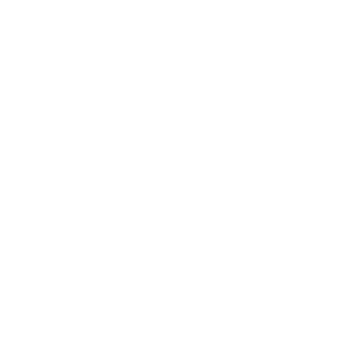 Heel Pain icon