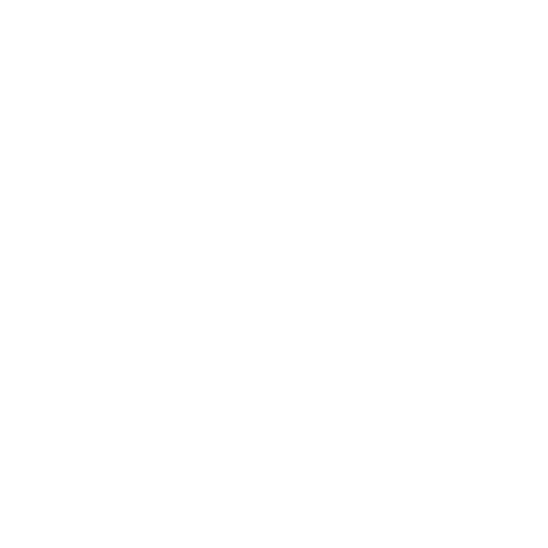 Flat Feet icon