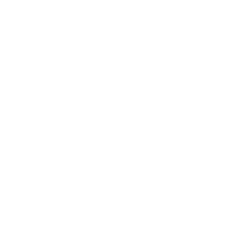 Plantar Fasciitis icon
